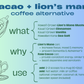 Lion's Mane Cacao (Energy)