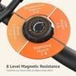 Recumbent Exercise Bike Magnetic Indoor Fitness Equipment Black Home