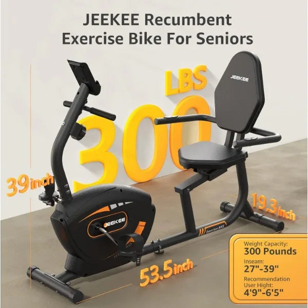 Recumbent Exercise Bike Magnetic Indoor Fitness Equipment Black Home