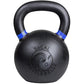 Powder Coated Cast Iron Kettlebell Strength Training Weight